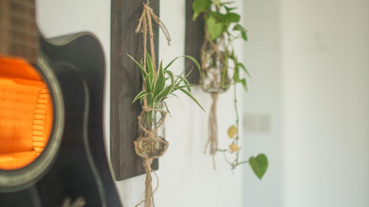 Birdnests Hotel Vinh Hai Eksteriør bilde